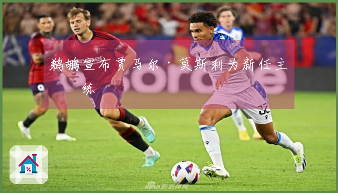 鹈鹕宣布贾马尔·莫斯利为新任主教练